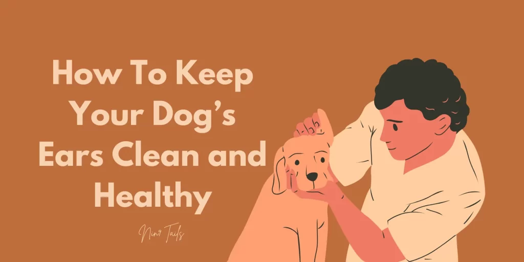 How to Keep Your Dog’s Ears Clean and Healthy - Nin9 Tails