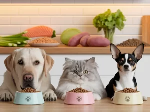 pet diet by breed