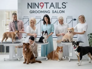 Mobile grooming in Dubai