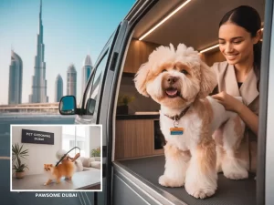 pet vaccination Dubai